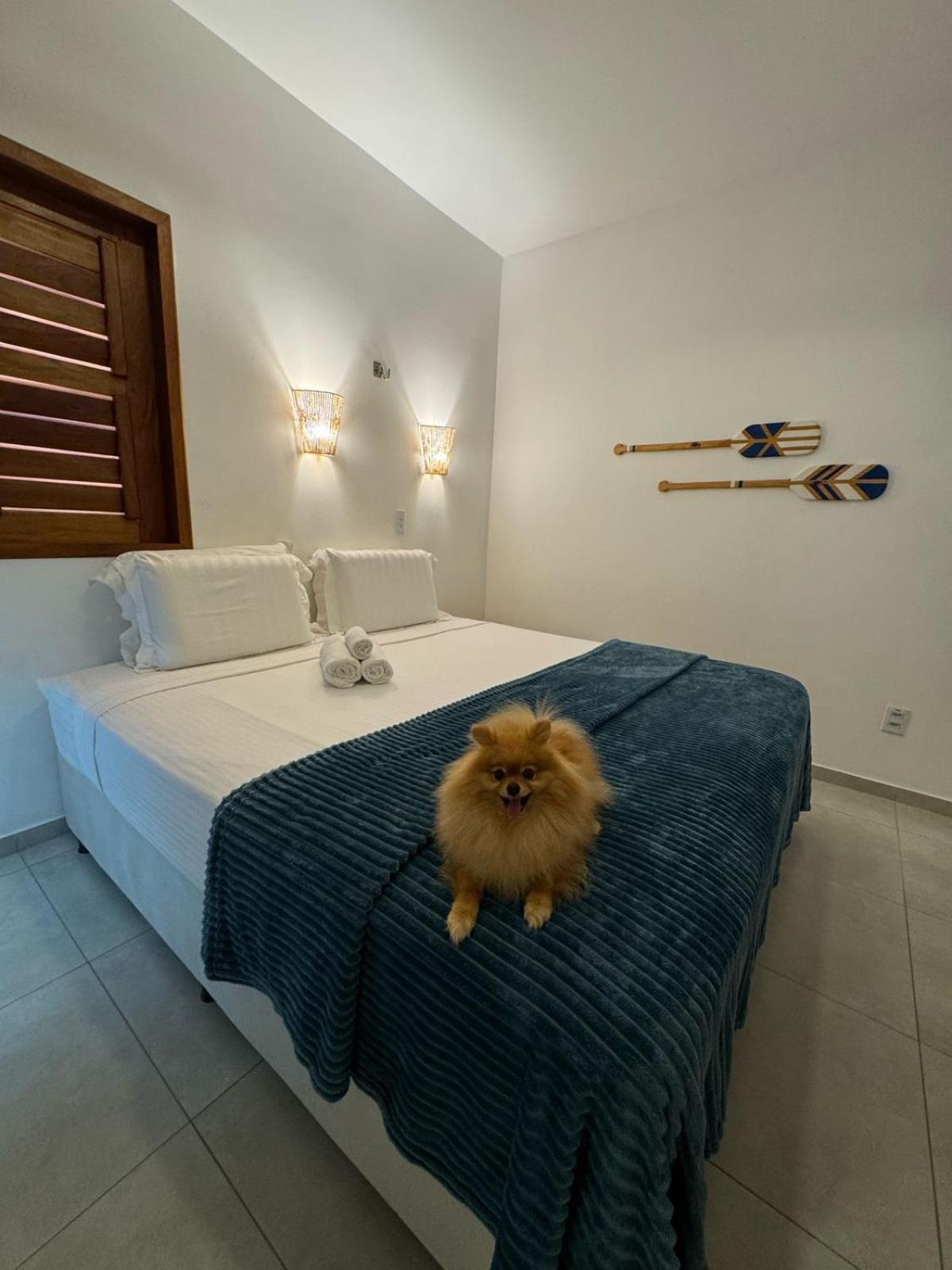 Pousada Amazing Jeri Jijoca de Jericoacoara Ngoại thất bức ảnh